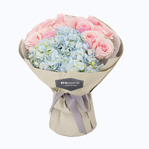 绍兴市Full love浓情鲜花系列25枝粉玫瑰+蓝绣球