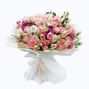 绍兴市Cherish珍爱鲜花系列66枝进口红唇玫瑰+粉雪山