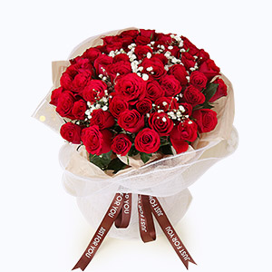 临清市Cherish珍爱鲜花系列52枝红玫瑰+满天星