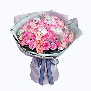 泰兴市Relative亲情鲜花系列33枝苏醒玫瑰+33枝浅粉色康乃馨