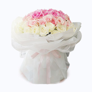 绍兴市Cherish珍爱鲜花系列99枝拼色花束