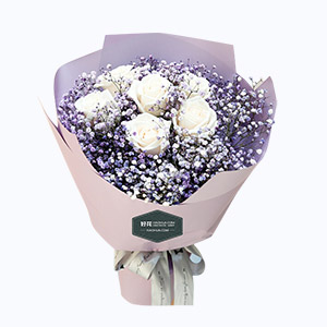 泰兴市Friendship挚友鲜花系列6枝白玫瑰+紫满天星