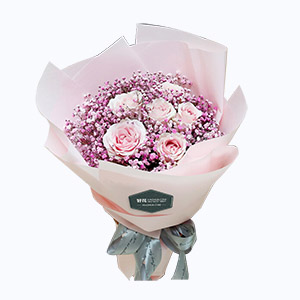 泰兴市Friendship挚友鲜花系列6枝粉佳人+粉满天星