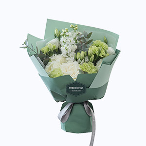 江苏省Secret love倾慕鲜花系列5枝绿康乃馨+6枝白桔梗