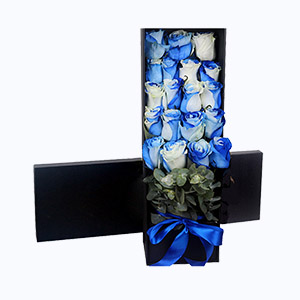 绍兴市Cherish珍爱鲜花系列19枝进口天空玫瑰礼盒+尤加利叶