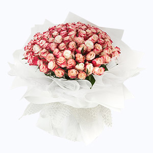 绍兴市Cherish珍爱鲜花系列99枝进口肯地亚甜心玫瑰