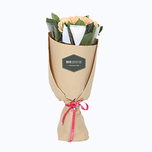 福清市Cherish珍爱鲜花系列9枝香槟玫瑰+栀子叶